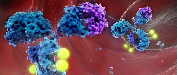 BILDQUELLE: CELLDEX THERAPEUTICS