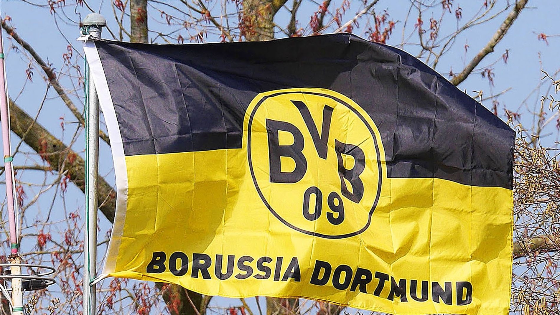 BVB-Aktie